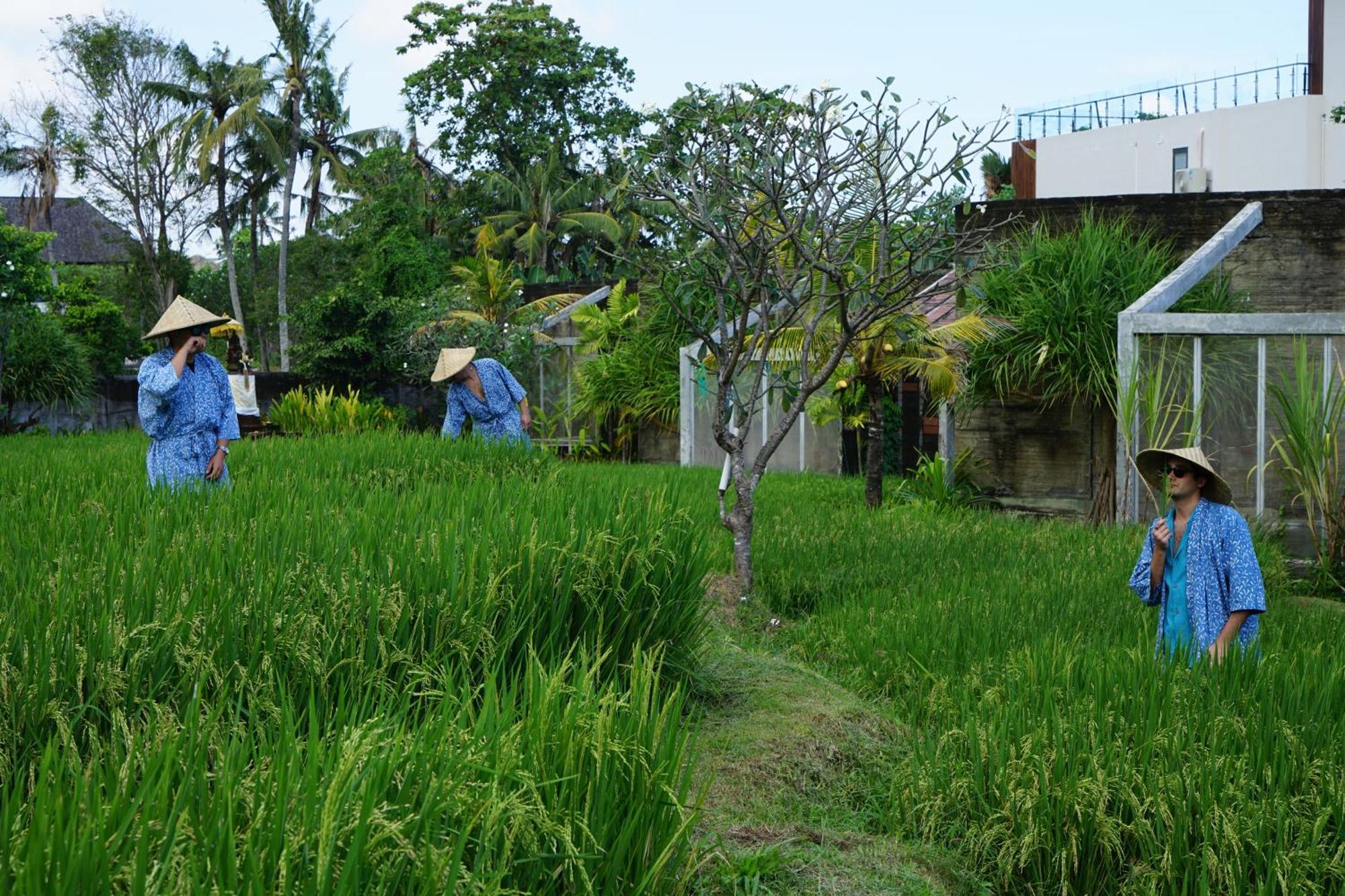 Shore Amora Canggu Hotel Exterior photo