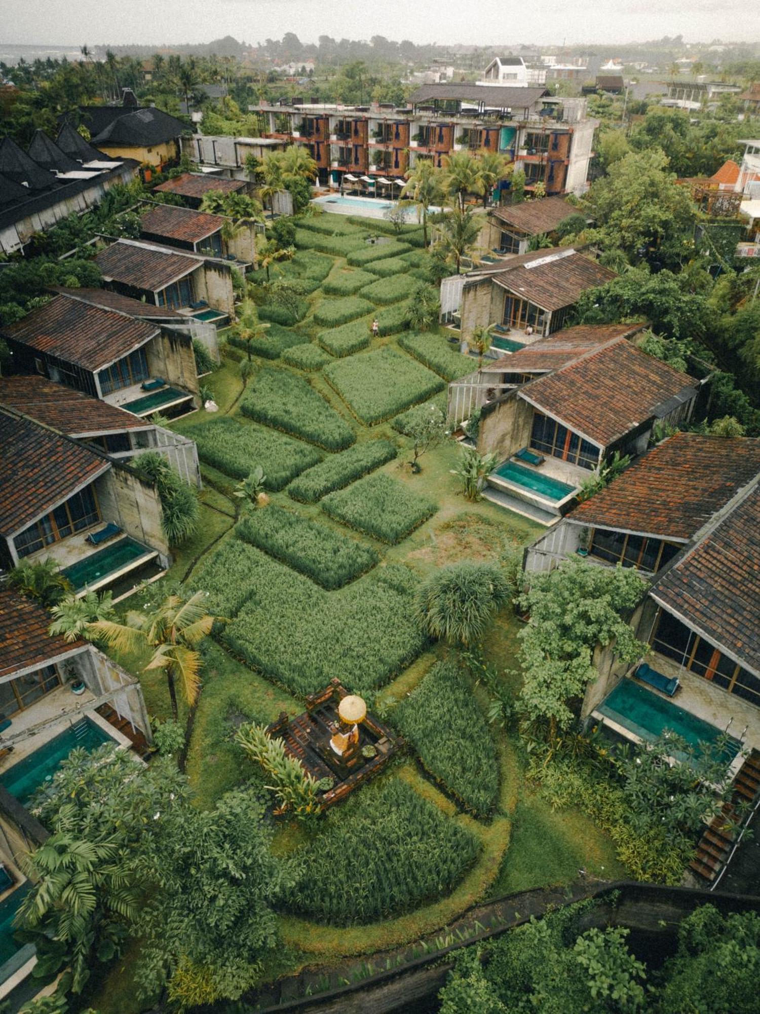 Shore Amora Canggu Hotel Exterior photo