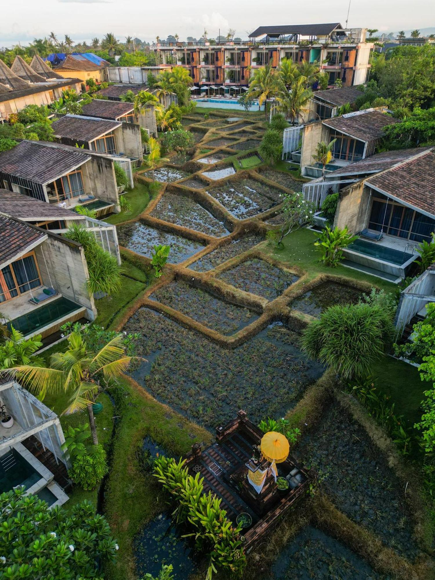 Shore Amora Canggu Hotel Exterior photo